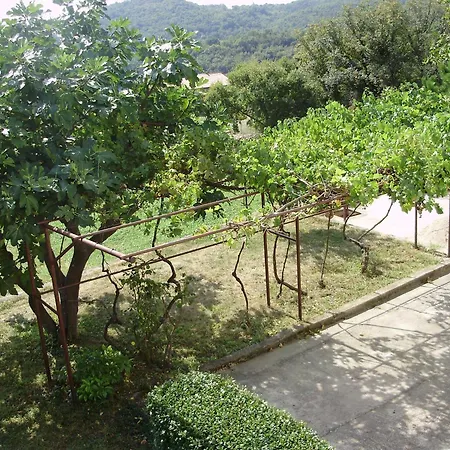 7468a Appartement