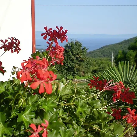 Apartment Labin 7468a *